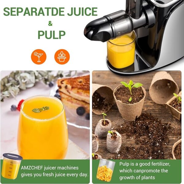 Extracteur de Jus avec Double Vitesse Modes (Soft et Hard) - Extracteur de Jus de Fruits et Légumes - Juicer Machine avec Bouteille à jus Portable et 2 Tasses - Argent [Classe énergétique A+++] - Image 4